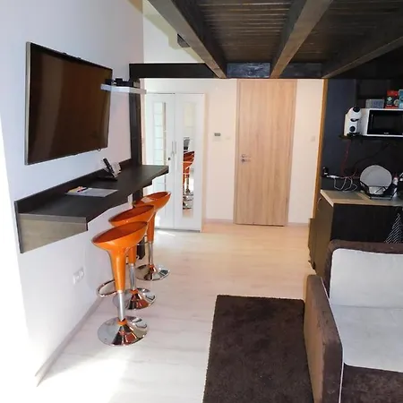 Gallery Studio With Garden Apartment Balatonlelle